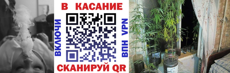 Цена Сальск OMG рабочий сайт  Амфетамин  ГАШ  Меф мяу мяу  Кокаин  Псилоцибиновые грибы 