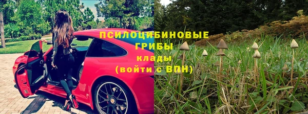 трава Новозыбков