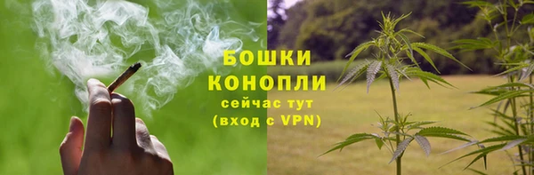 трава Новозыбков