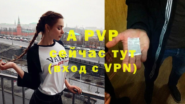 трава Новозыбков
